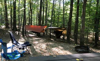 Kimberly R.'s photo at Pawtuckaway State Park Campground near Nottingham, NH