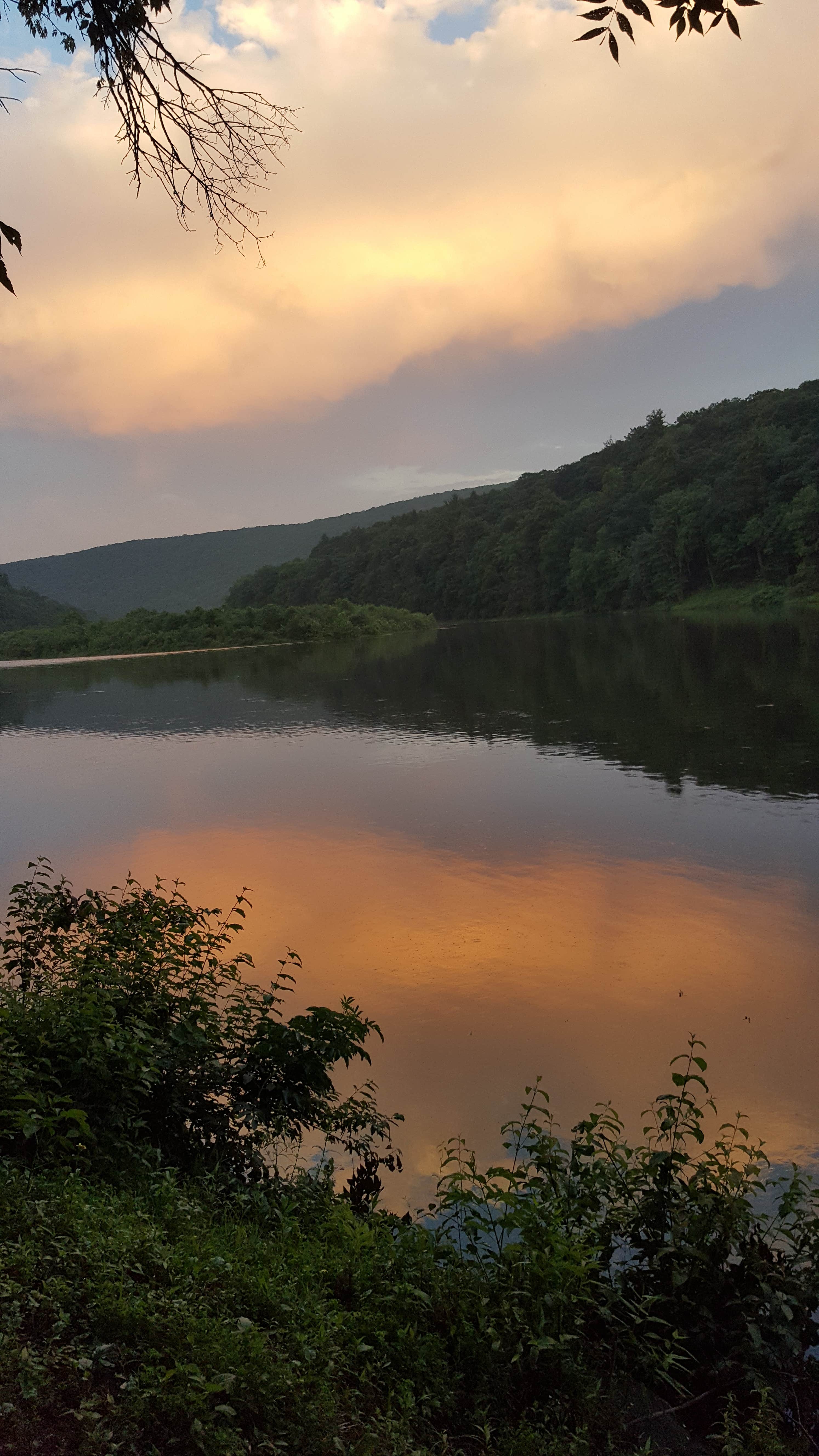 Camper submitted image from Kittatinny Campground - 5