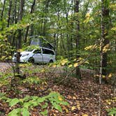 Review photo of Pittsfield State Forest by Lee D., September 30, 2019