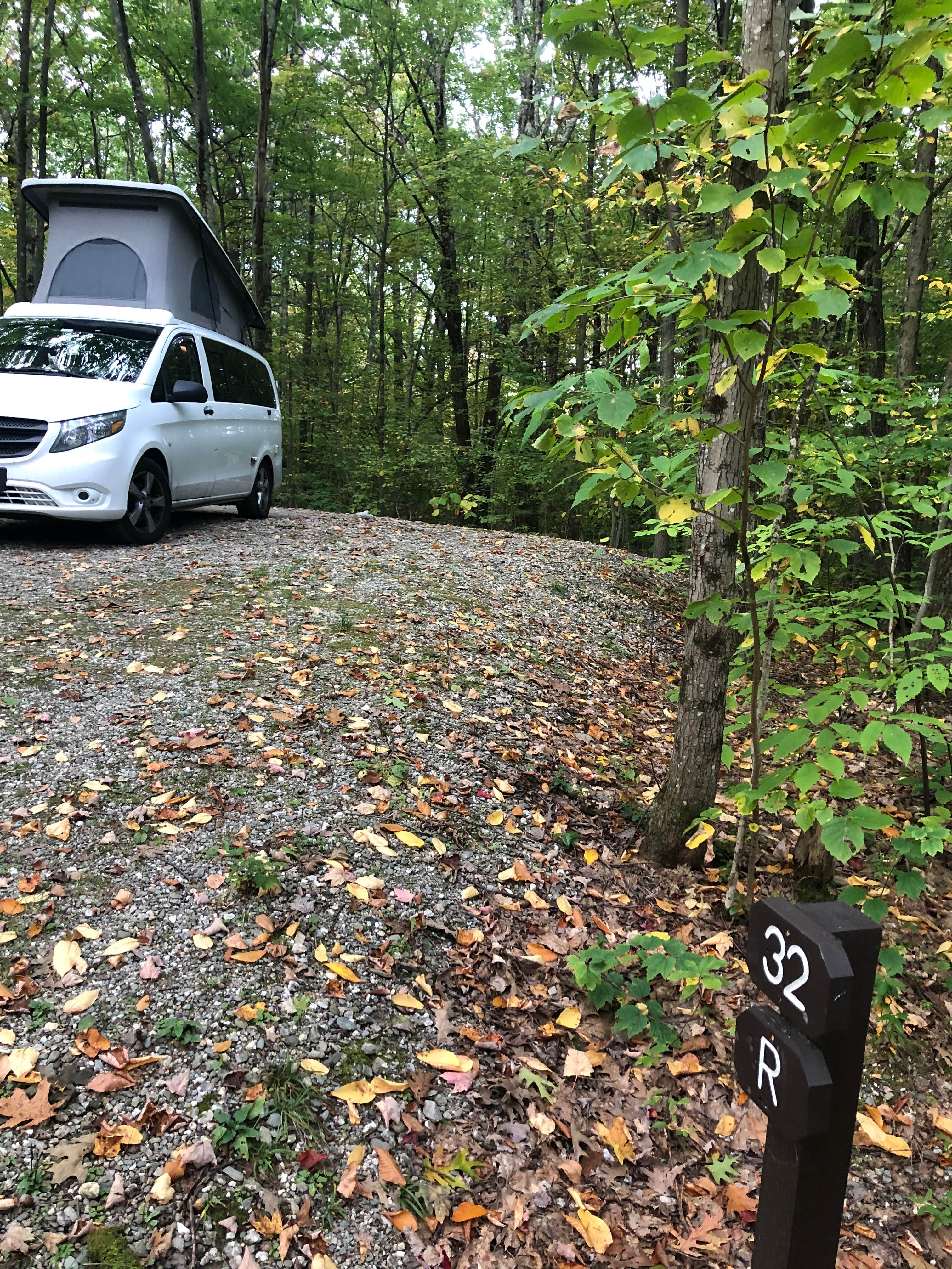 Lee D.'s photo of rv camping at Pittsfield State Forest Campground near Cummington, MA