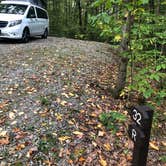 Review photo of Pittsfield State Forest by Lee D., September 30, 2019