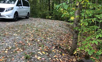Lee D.'s photo of rv camping at Pittsfield State Forest Campground near Tanglewood, MA