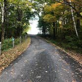 Review photo of Pittsfield State Forest by Lee D., September 30, 2019