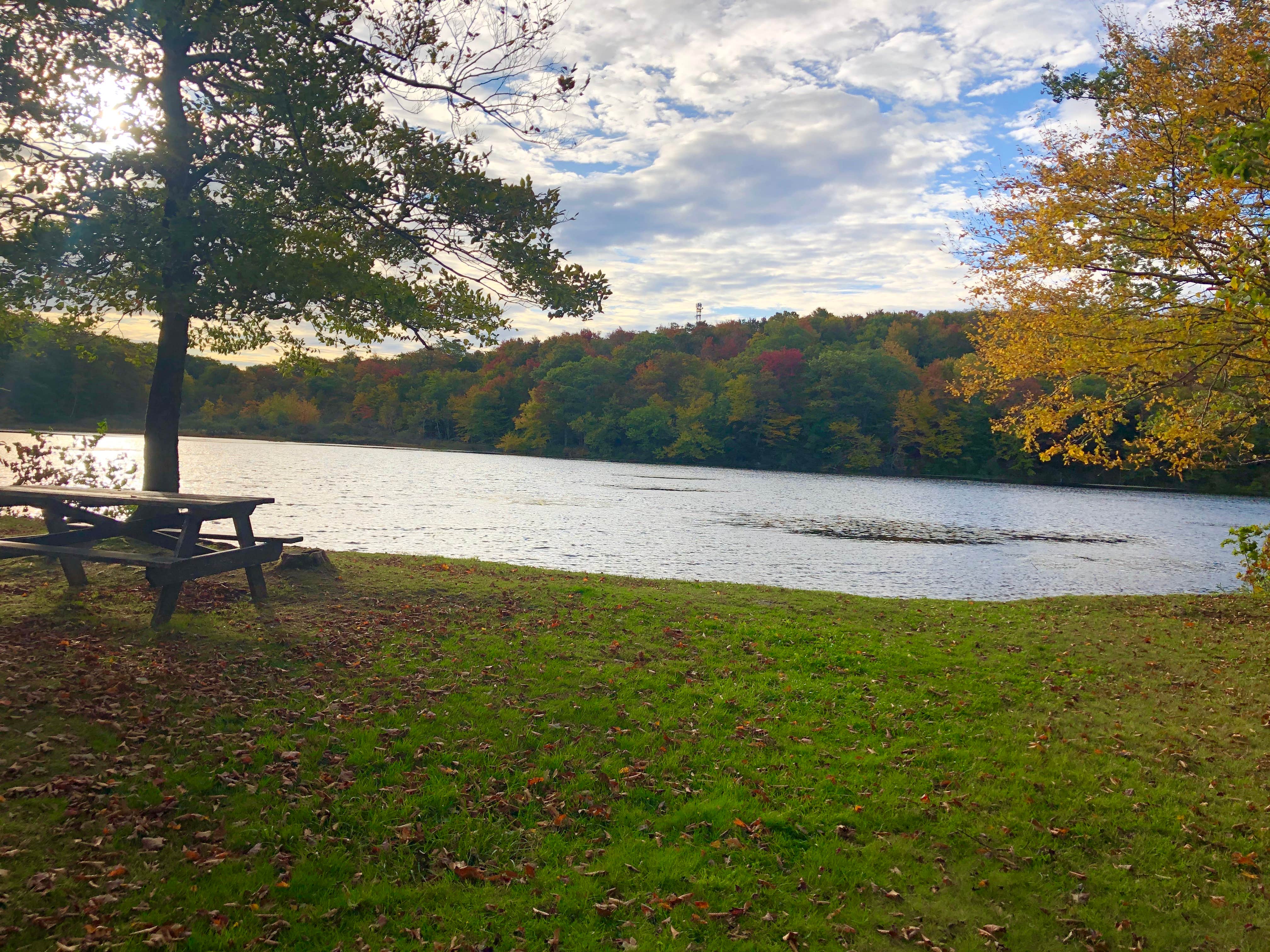 Camper submitted image from Pittsfield State Forest - 3