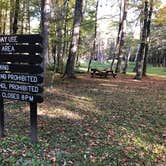 Review photo of Pittsfield State Forest by Lee D., September 30, 2019