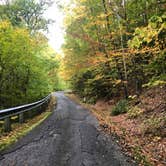 Review photo of Pittsfield State Forest by Lee D., September 30, 2019