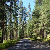 Review photo of Ochoco Divide Group Site by Kevin R., September 30, 2019
