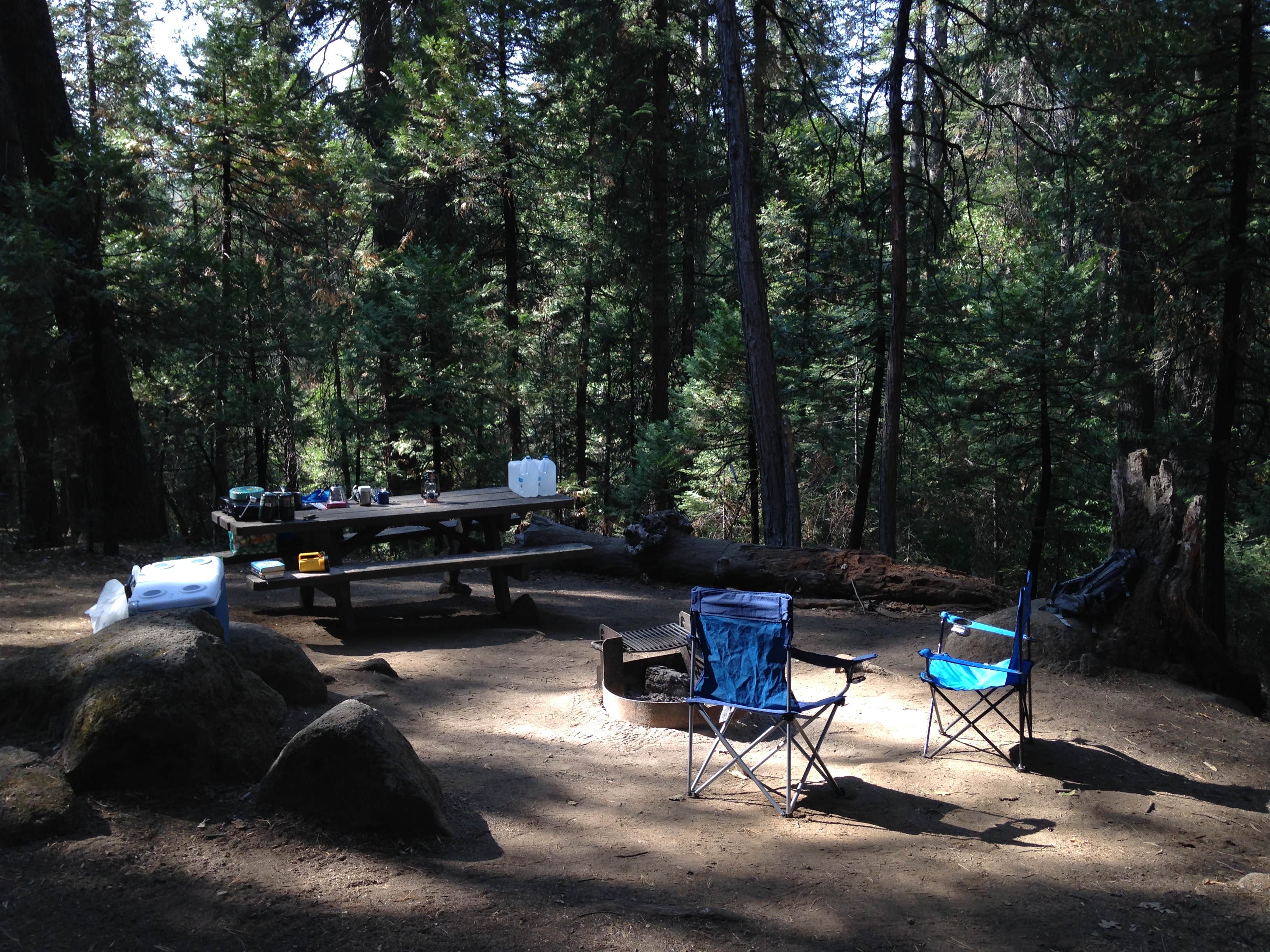 Camper submitted image from Chilkoot Campground - 5