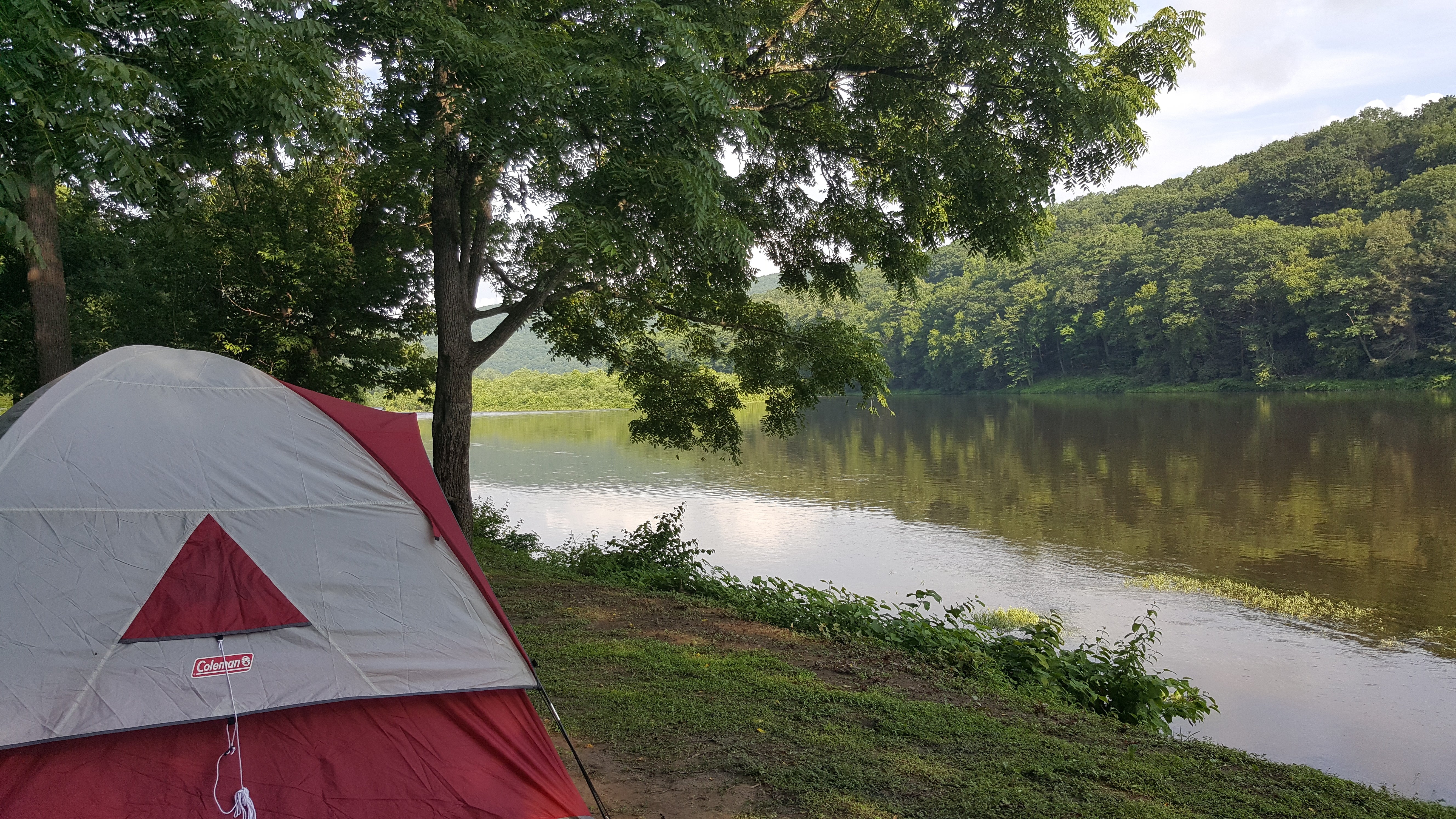 Camper submitted image from Kittatinny Campground - 2