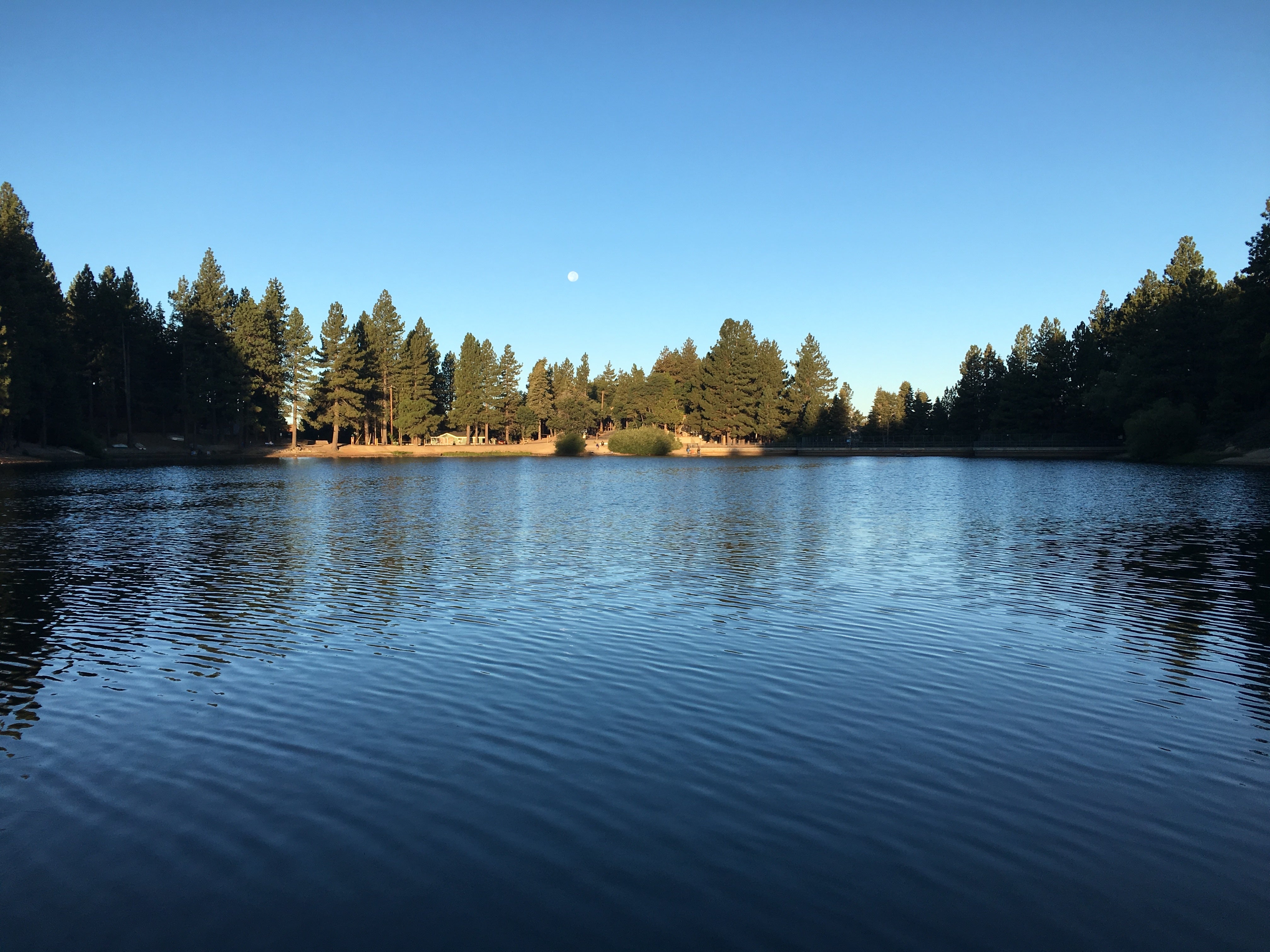 Camper submitted image from Lake Arrowhead - Green Valley Lake Recreation Area - 3