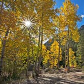 Review photo of Difficult Campground by Sheila F., September 30, 2019