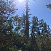 Review photo of Idyllwild Campground by Stephen S., September 30, 2019