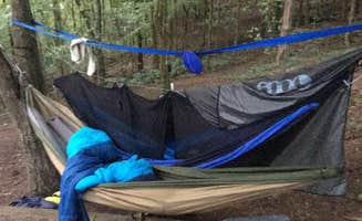 Eli L.'s photo at Edgar Evins State Park Campground near Bloomington Springs, TN