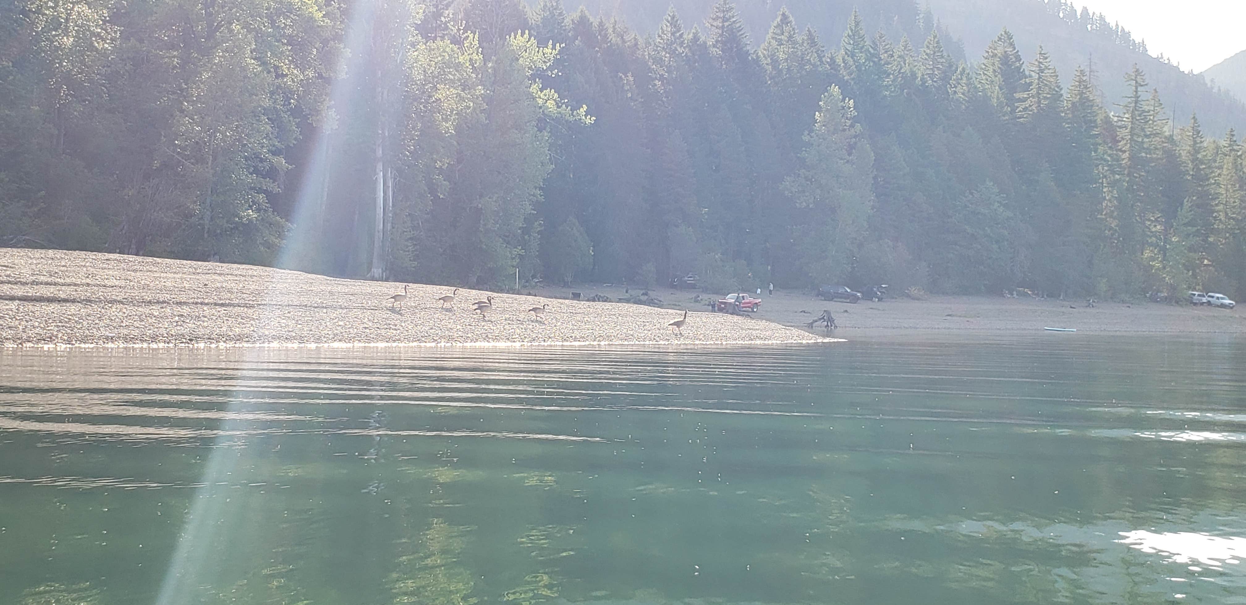 Kachess Lake Campground The Dyrt