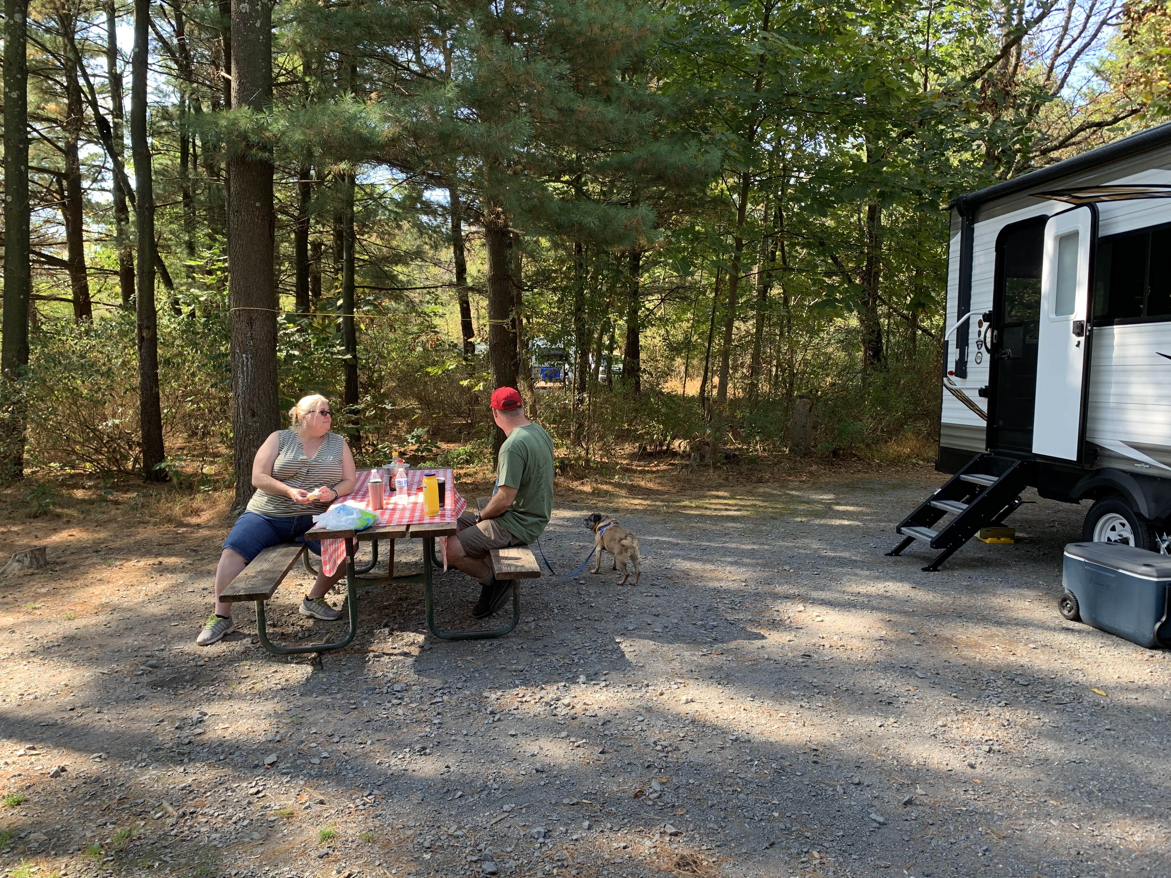 Laure D.'s photo of camping with pets at Rocky Gap State Park Campground near Stoystown, PA