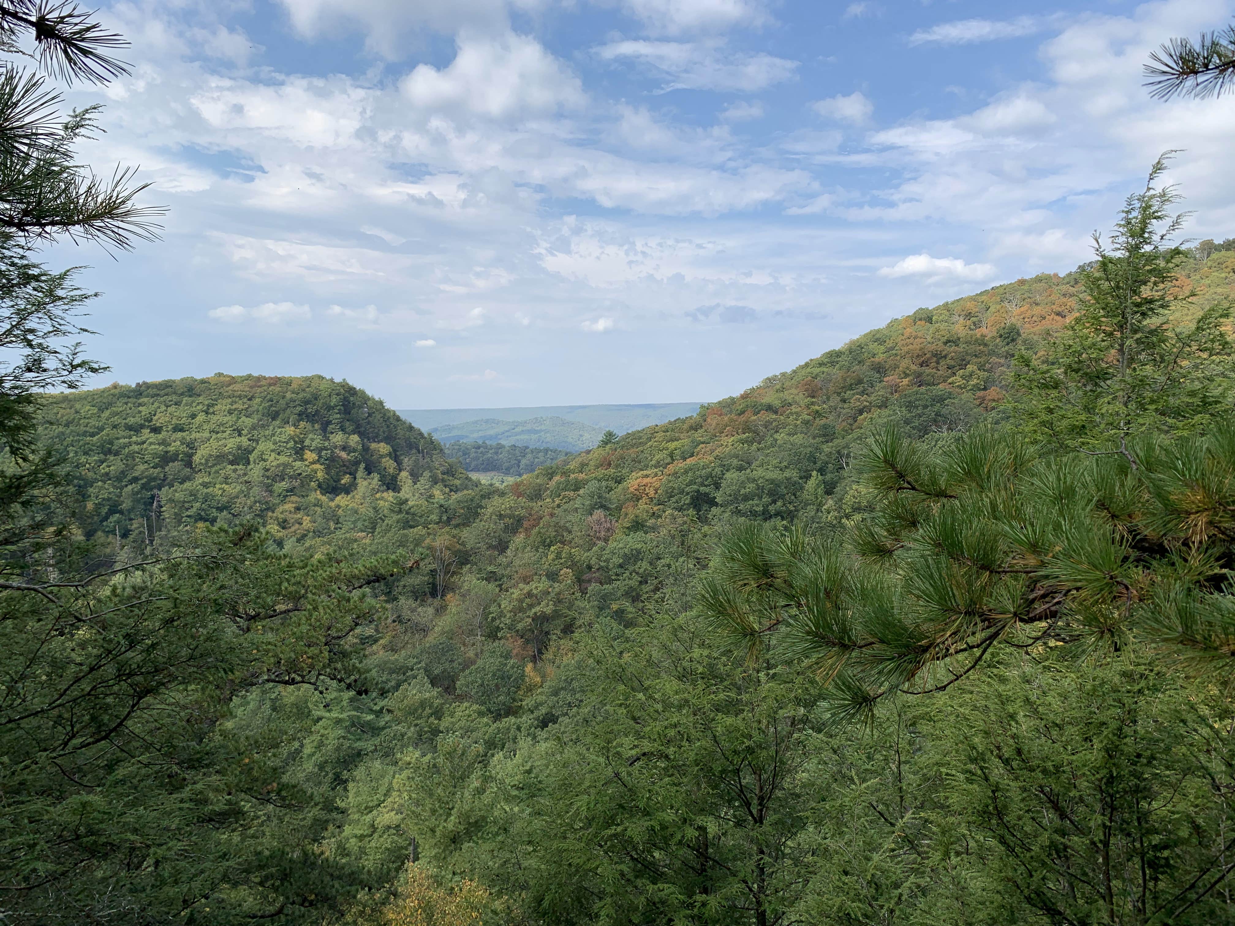 Camper submitted image from Rocky Gap State Park Campground - 1