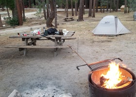 Sequoia National Forest Lower Peppermint Campground