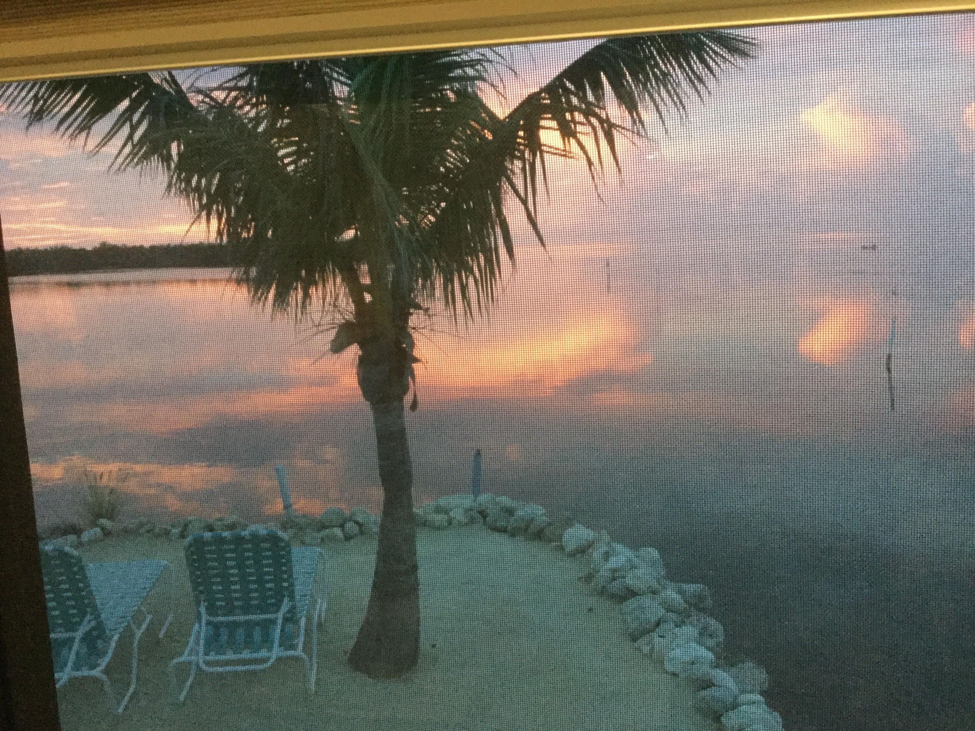 Camper submitted image from Grassy Key RV Park & Resort - 3