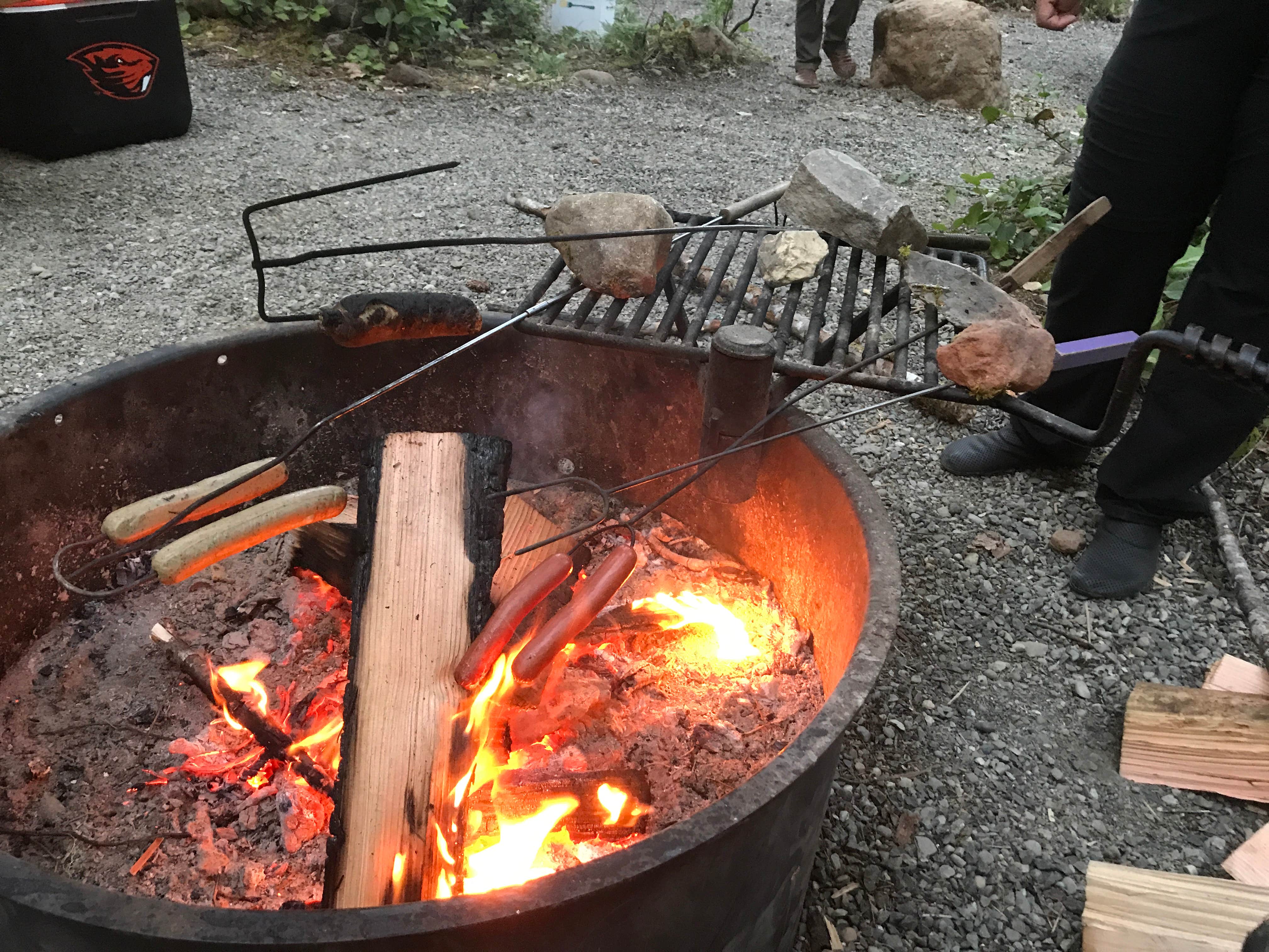 Elizabeth K.'s photo at Big Creek Campground near Matlock, WA
