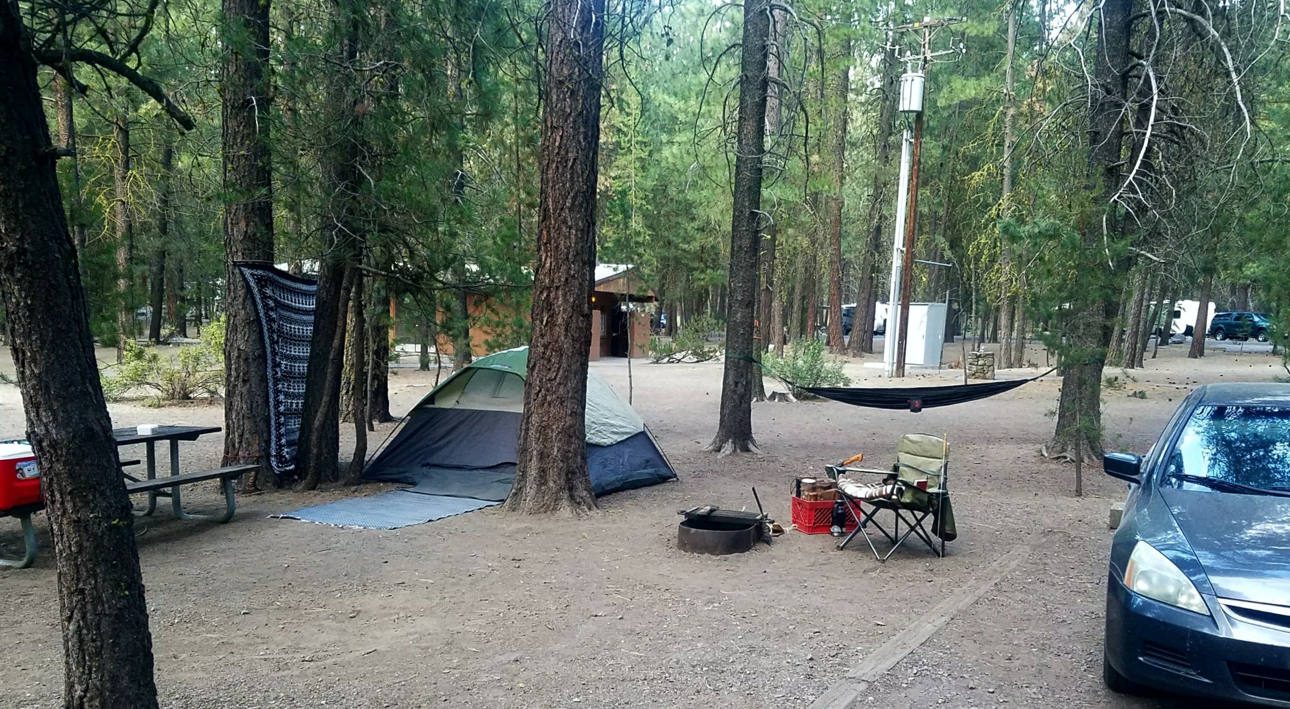 Camper submitted image from Collier Memorial State Park Campground - 5