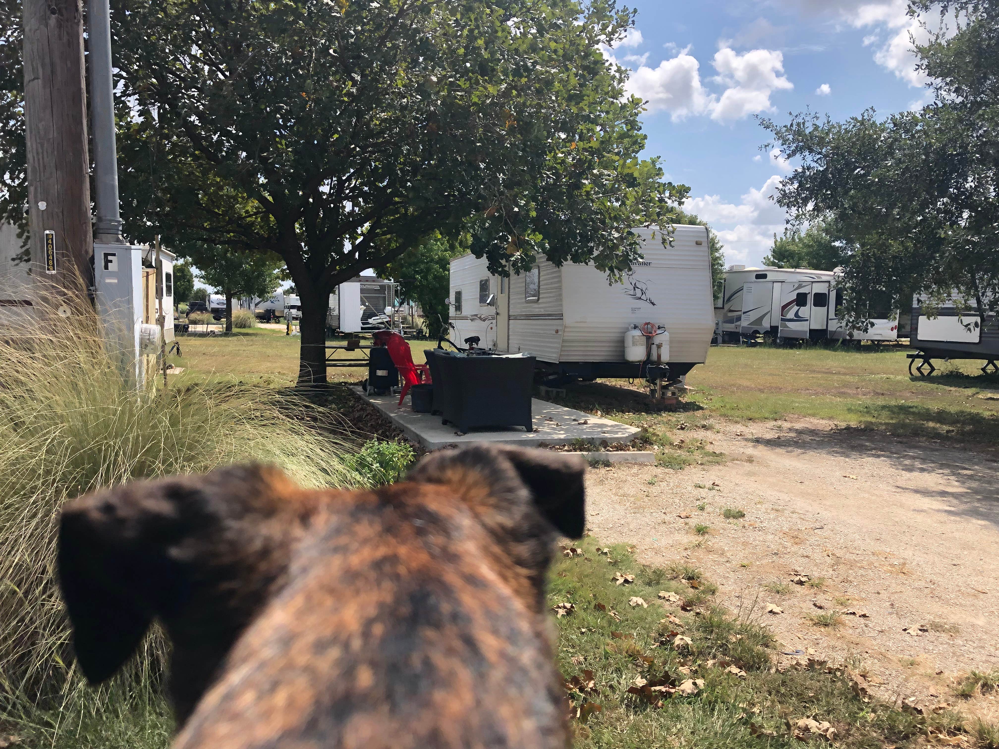 Alicia F.'s photo of rv camping at Berry Springs RV Park near Taylor, TX