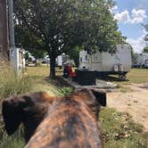 Review photo of Berry Springs RV Park by Alicia F., September 30, 2019