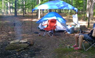 Katie M.'s photo at Newport News Park near Lightfoot, VA