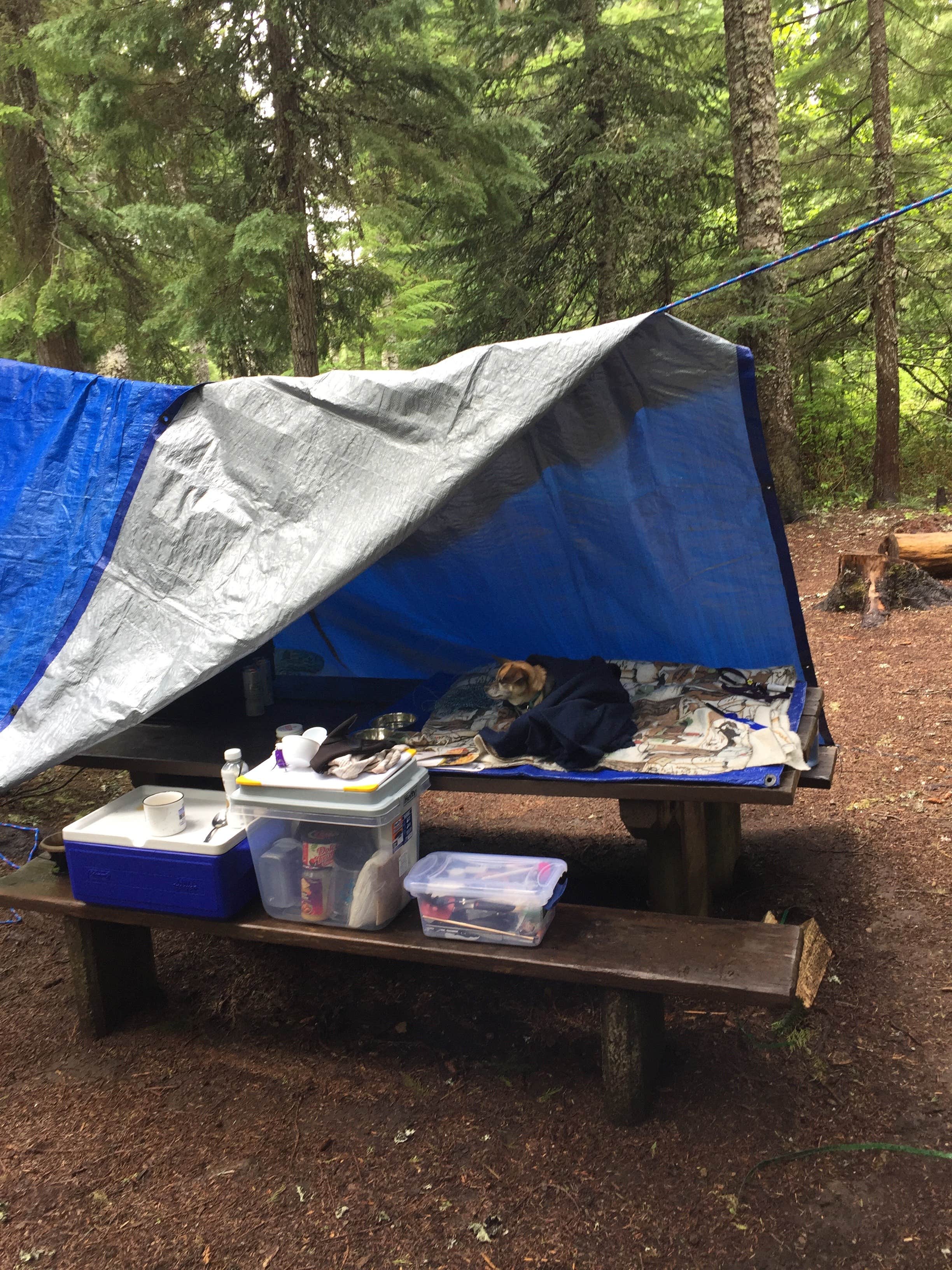 Camper submitted image from Frog Lake - 2