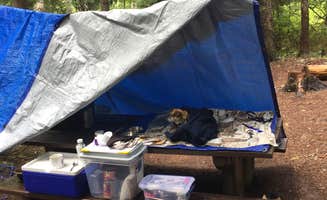 Ashley B.'s photo at Frog Lake near Mt. Hood National Forest