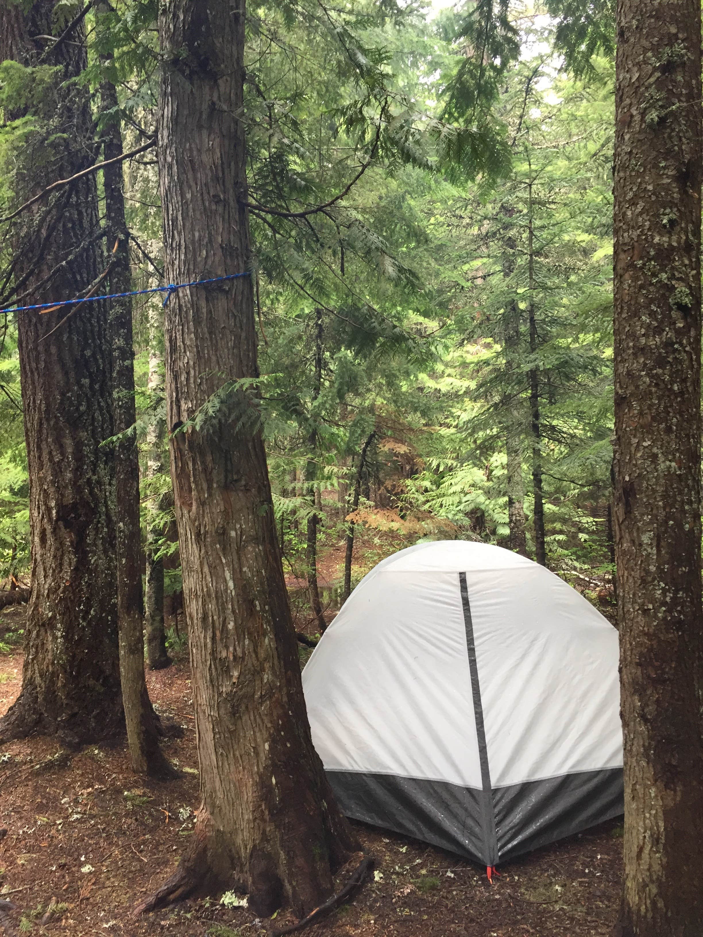 Camper-submitted photo at Frog Lake near Government Camp, OR