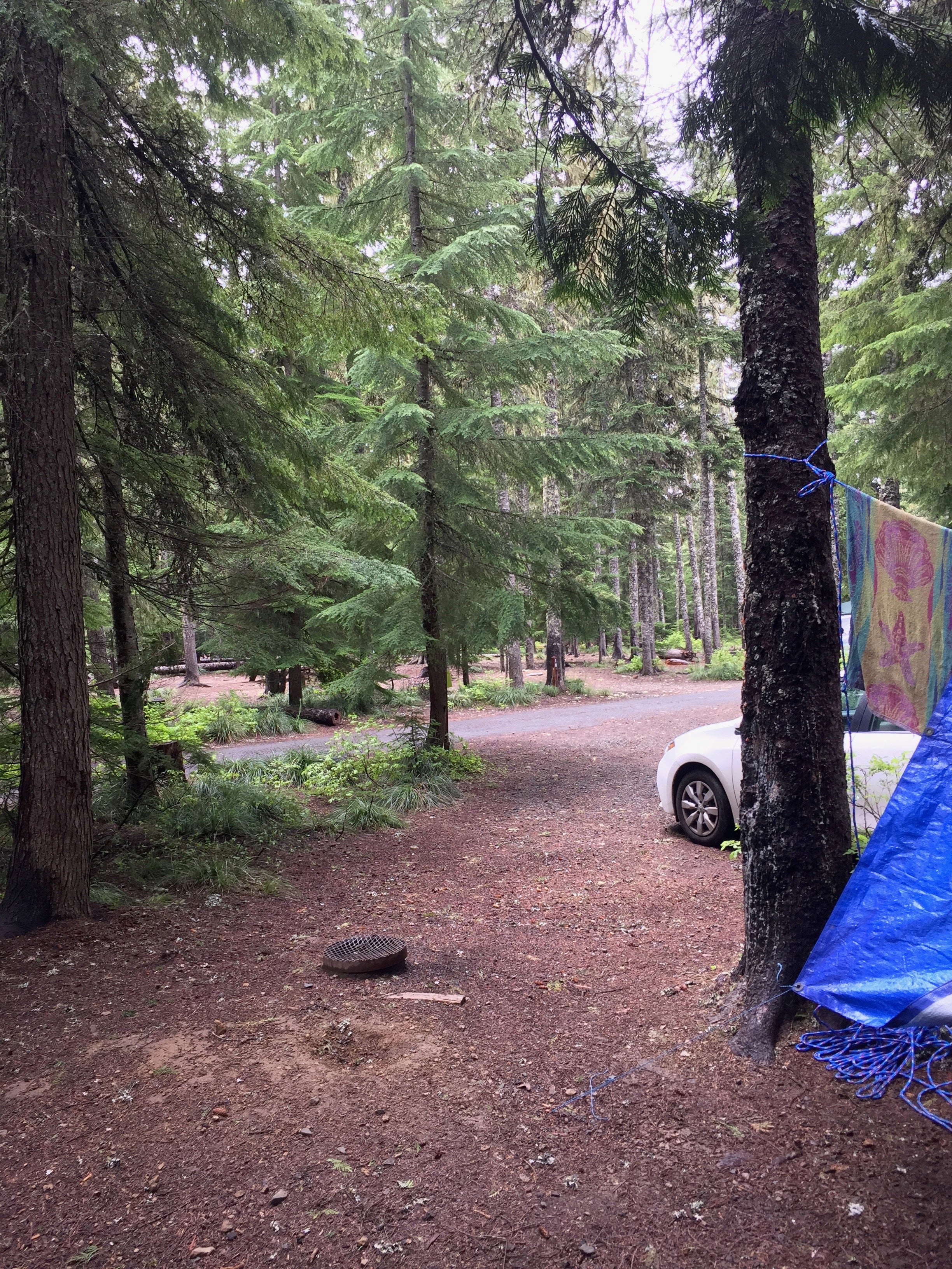 Camper submitted image from Frog Lake - 4