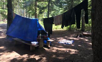 Ashley B.'s photo at Frog Lake near Mt. Hood National Forest