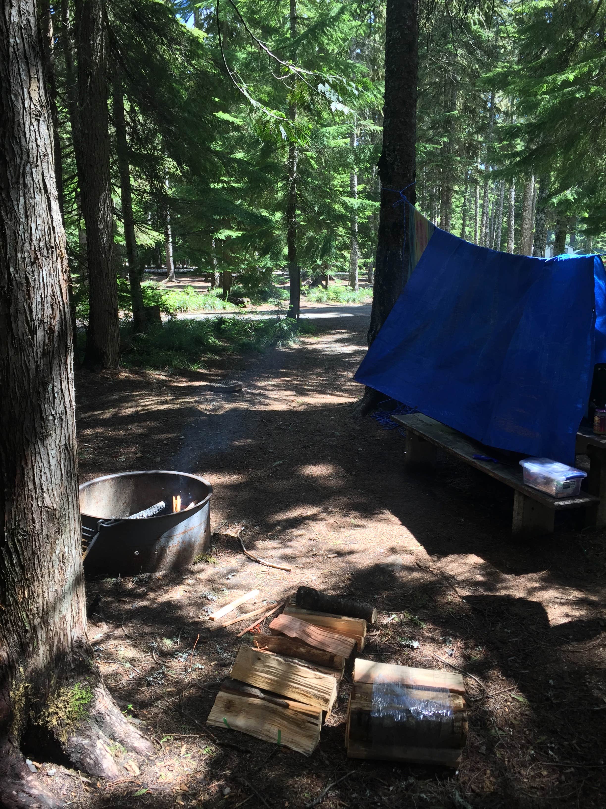 Ashley B.'s photo at Frog Lake near Mt. Hood National Forest