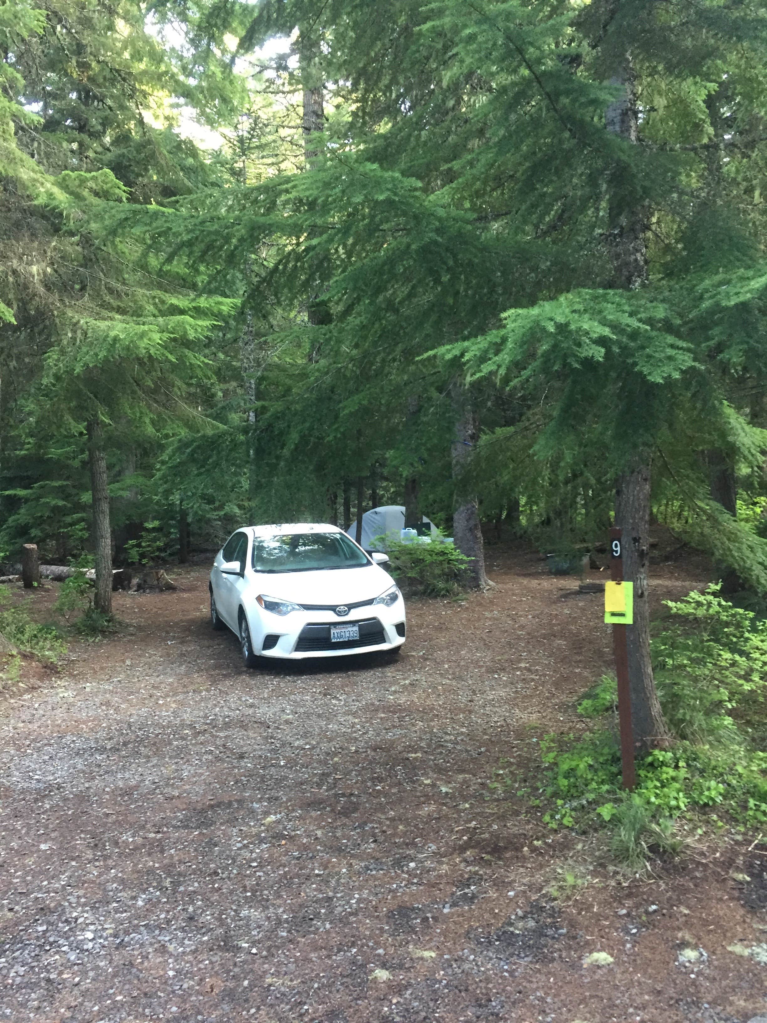Camper submitted image from Frog Lake - 4