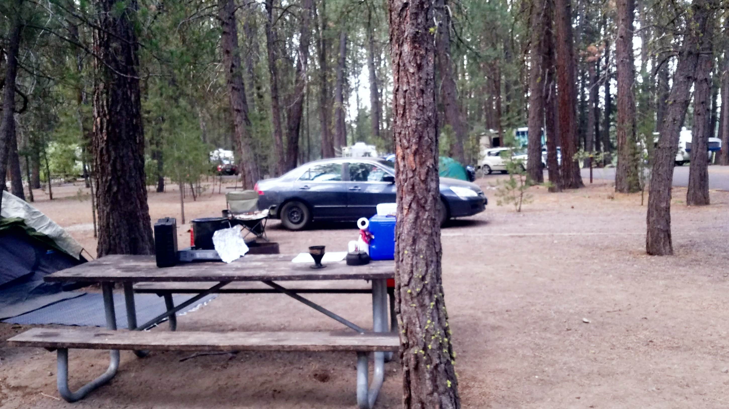 Camper submitted image from Collier Memorial State Park Campground - 2