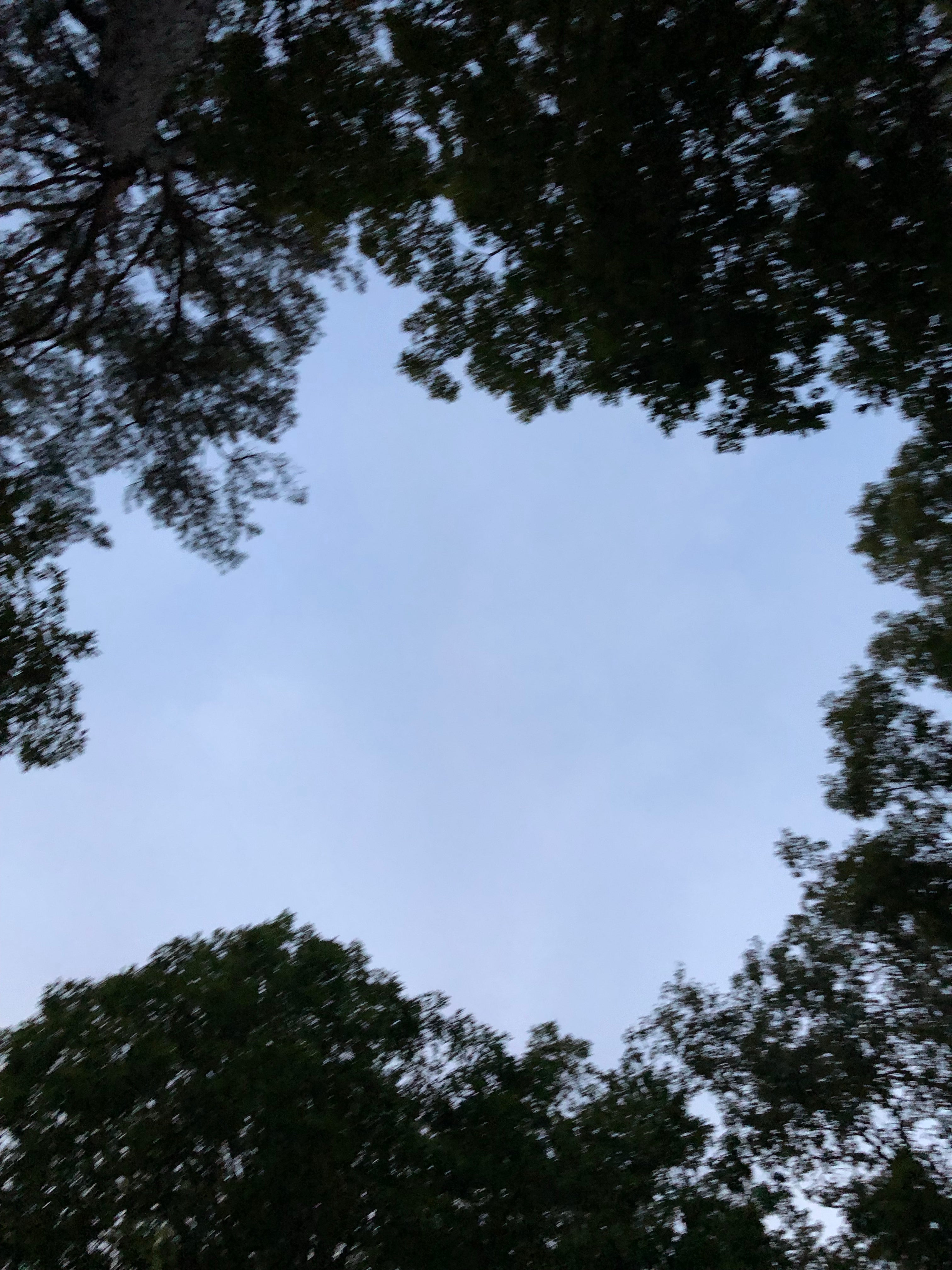 My view from my hammock. Waiting on night to see the stars.