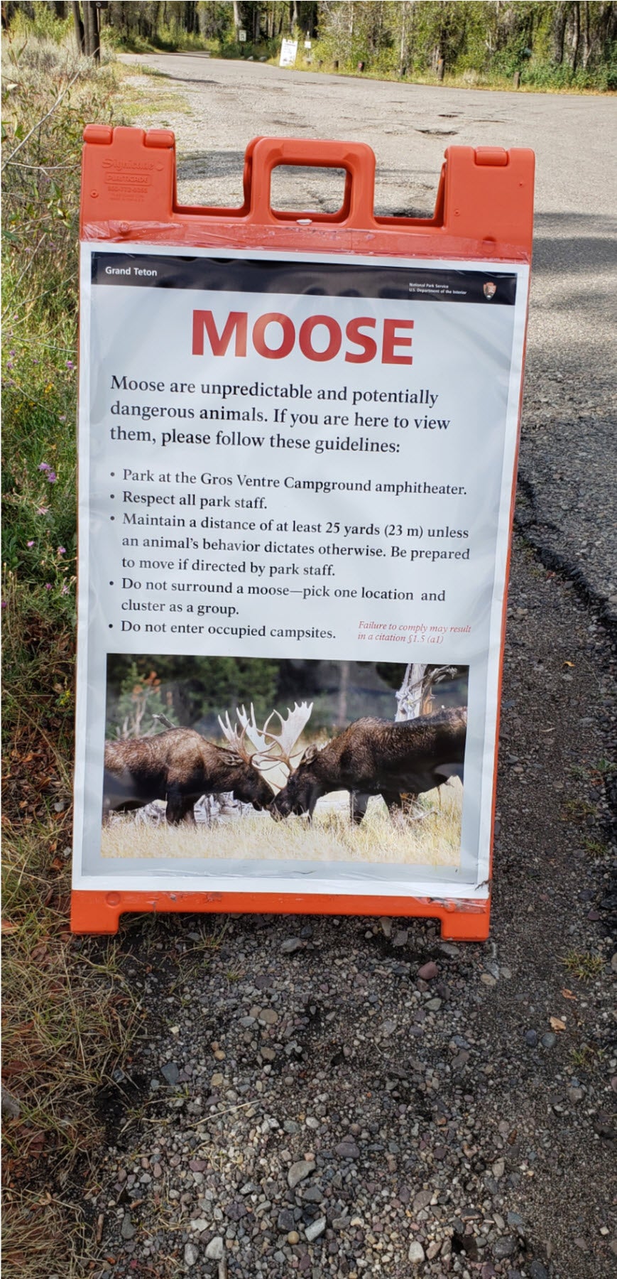 This is a good sign if you are looking to see Moose.