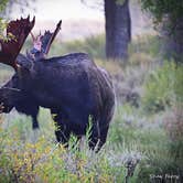 Review photo of Gros Ventre Campground — Grand Teton National Park by Shay F., September 30, 2019
