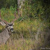 Review photo of Gros Ventre Campground — Grand Teton National Park by Shay F., September 30, 2019