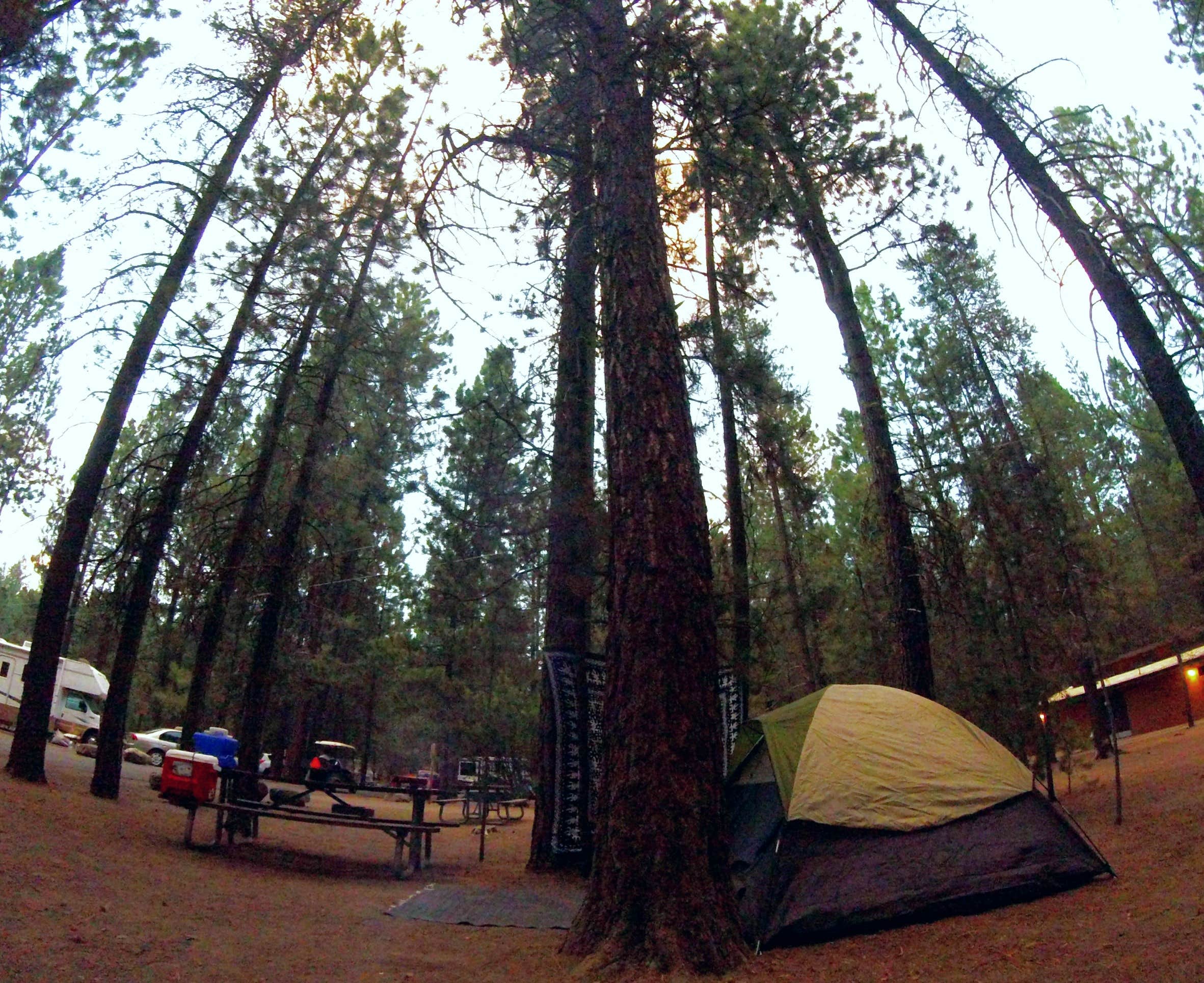 Camper submitted image from Collier Memorial State Park Campground - 4