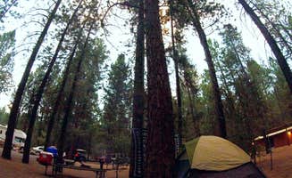 Tj B.'s photo at Collier Memorial State Park Campground near Klamath Falls, OR