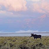 Review photo of Gros Ventre Campground — Grand Teton National Park by Shay F., September 30, 2019