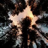 Review photo of Collier Memorial State Park Campground by Tj B., August 13, 2017