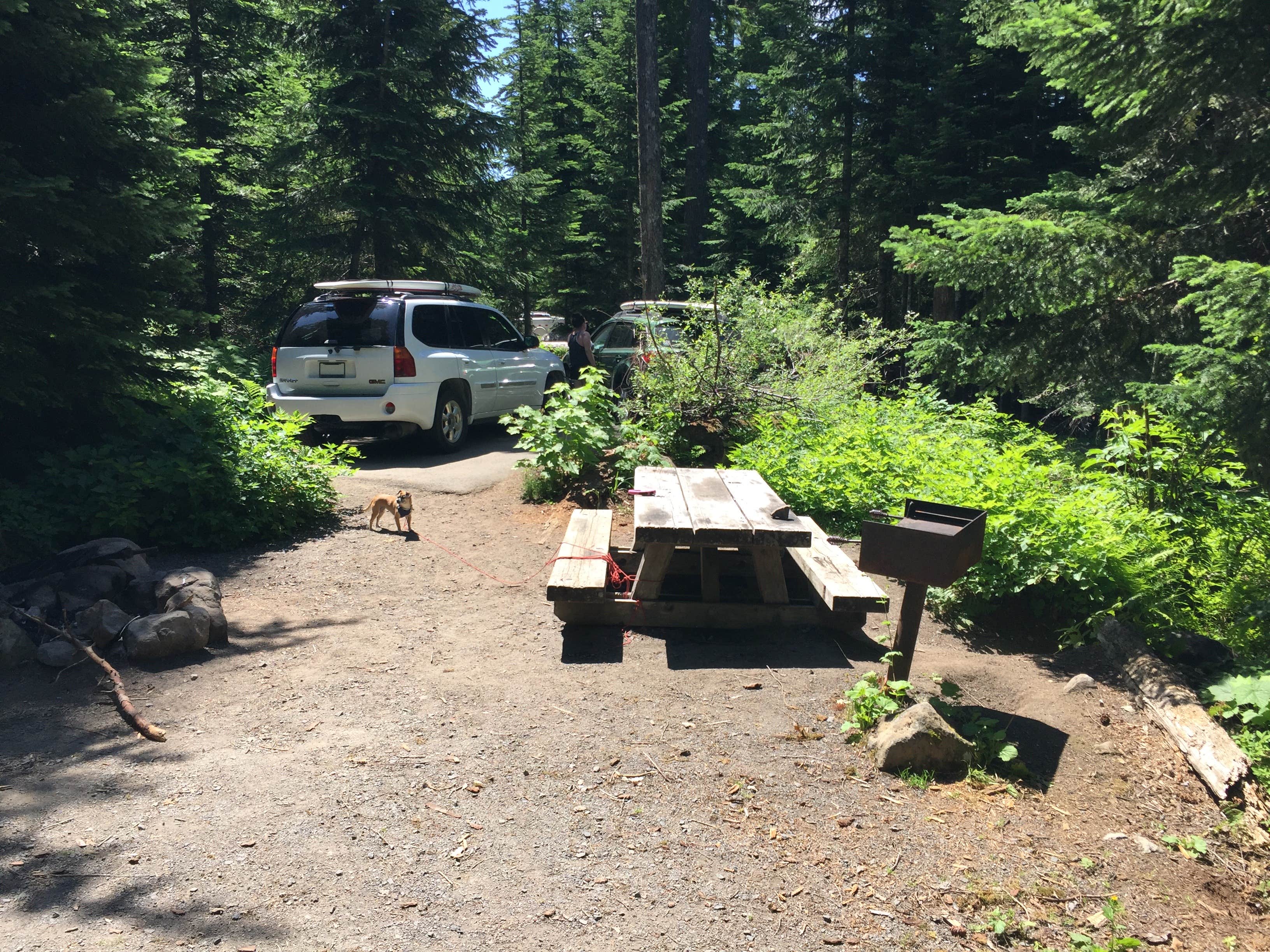 Ashley B.'s photo of camping with pets at Lost Lake Resort And Campground — Mt. Hood National Forest near Sandy, OR