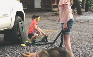 Dave R.'s photo of camping with pets at Dutch Cousin Campground near Mohnton, PA