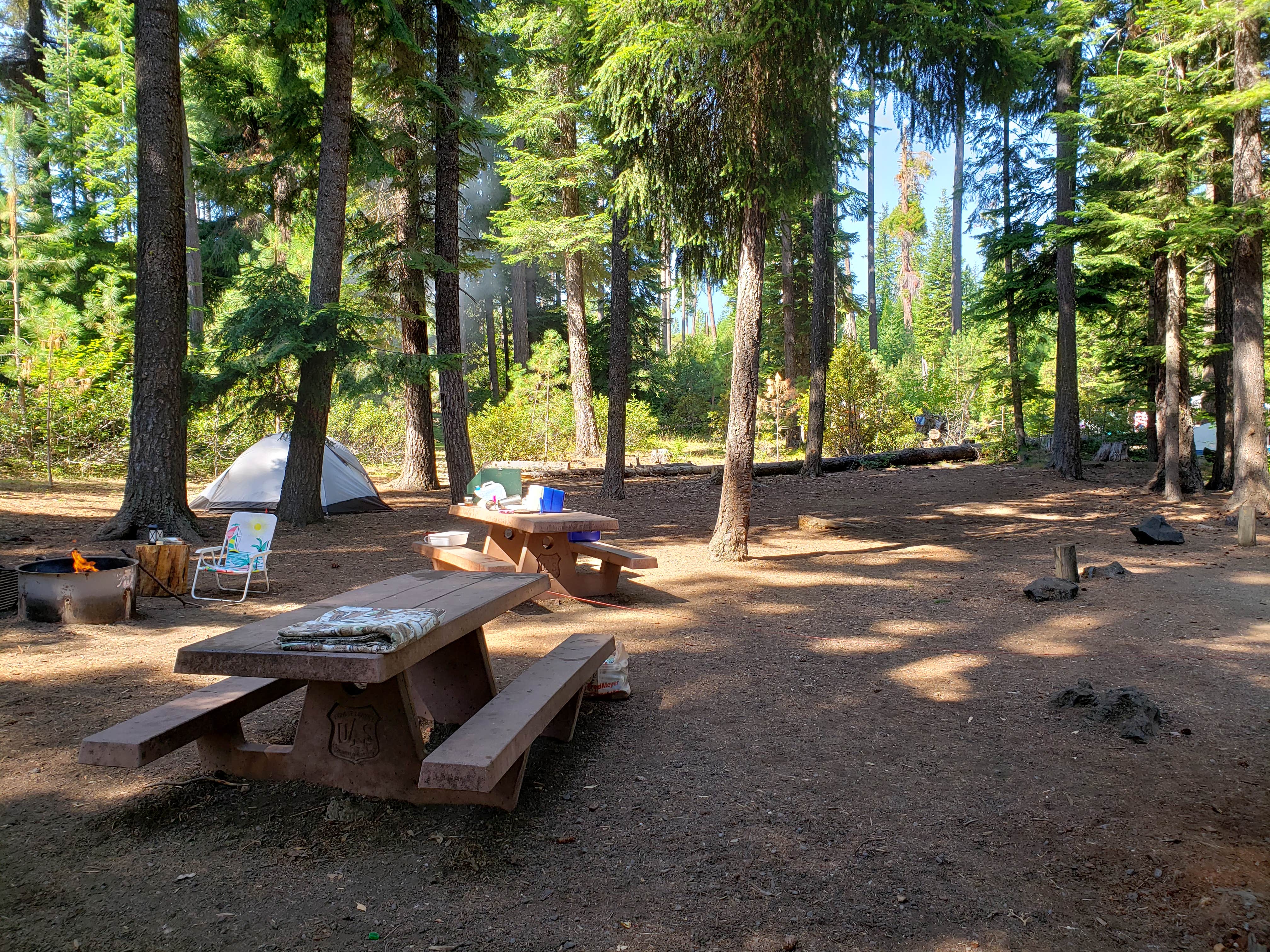 Ashley B.'s photo at Blue Bay near Camp Sherman, OR