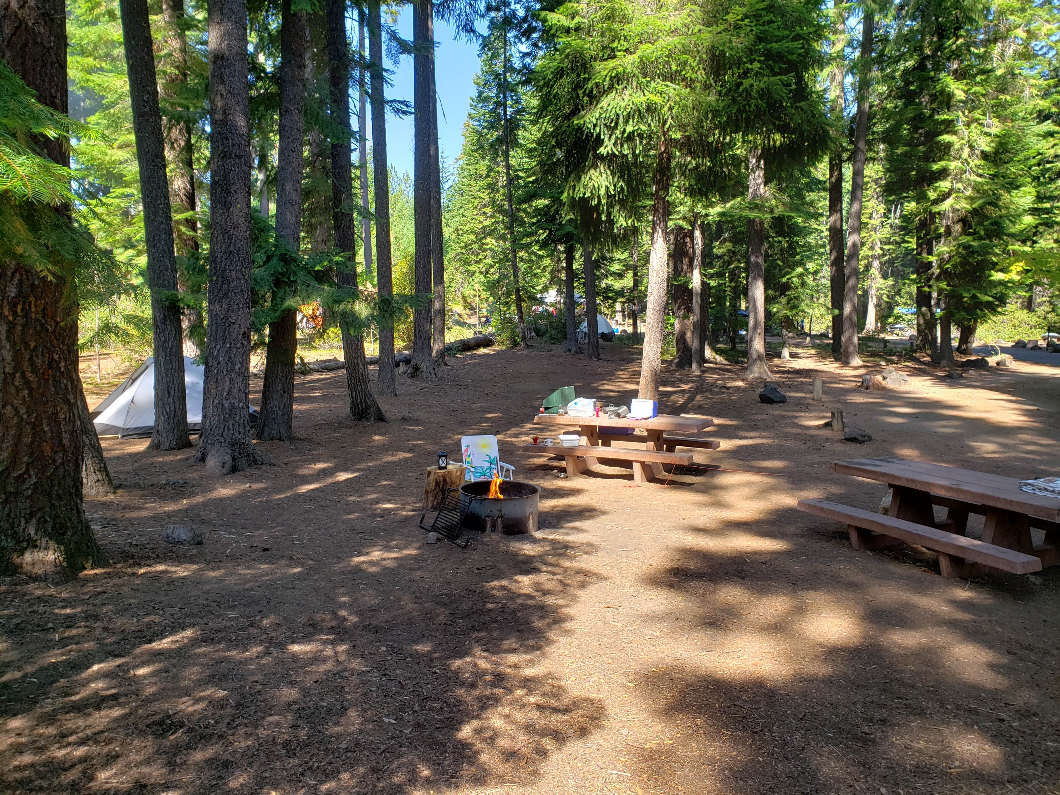Ashley B.'s photo at Blue Bay near Camp Sherman, OR