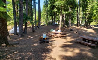 Ashley B.'s photo at Blue Bay near Camp Sherman, OR