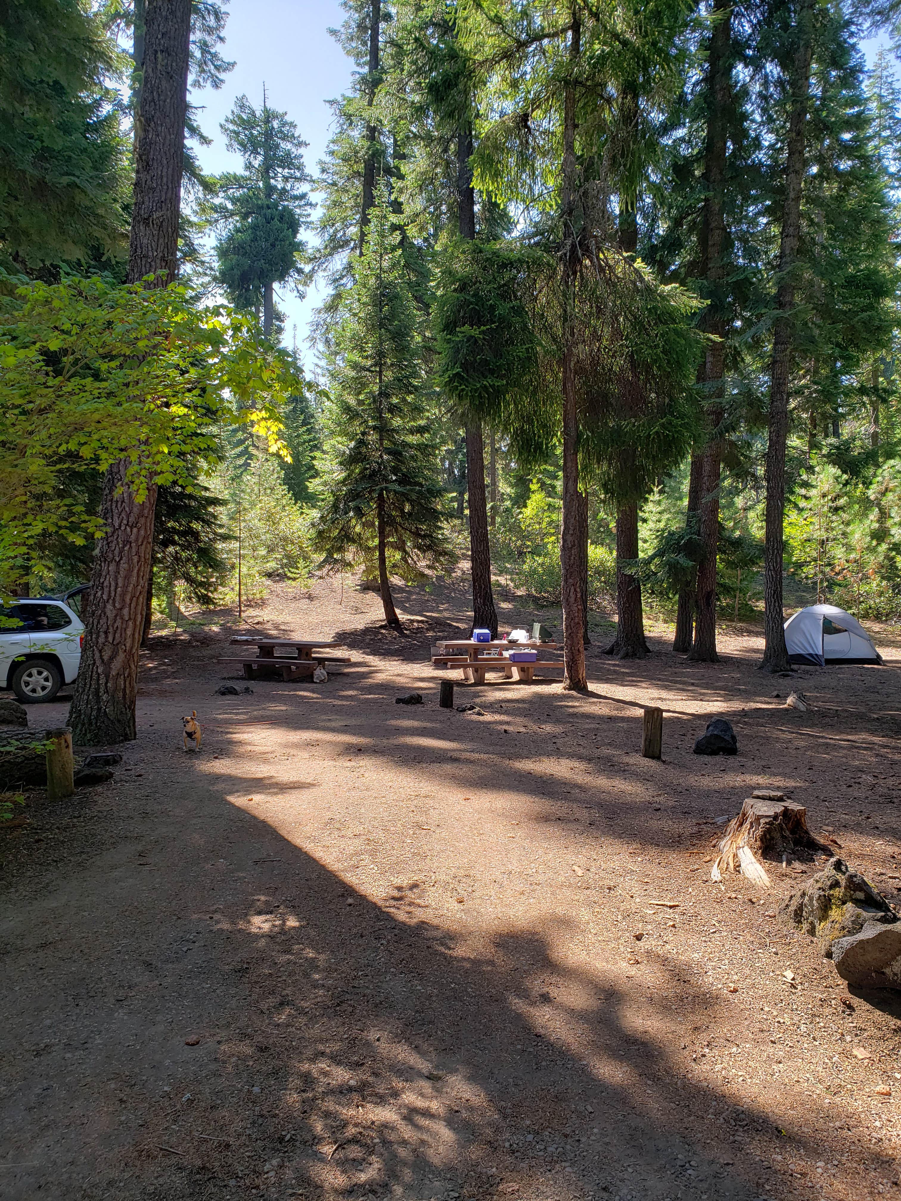 Ashley B.'s photo at Blue Bay near Sisters, OR