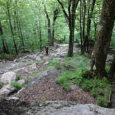Review photo of Monadnock State Park Campground by Jess G., August 13, 2017